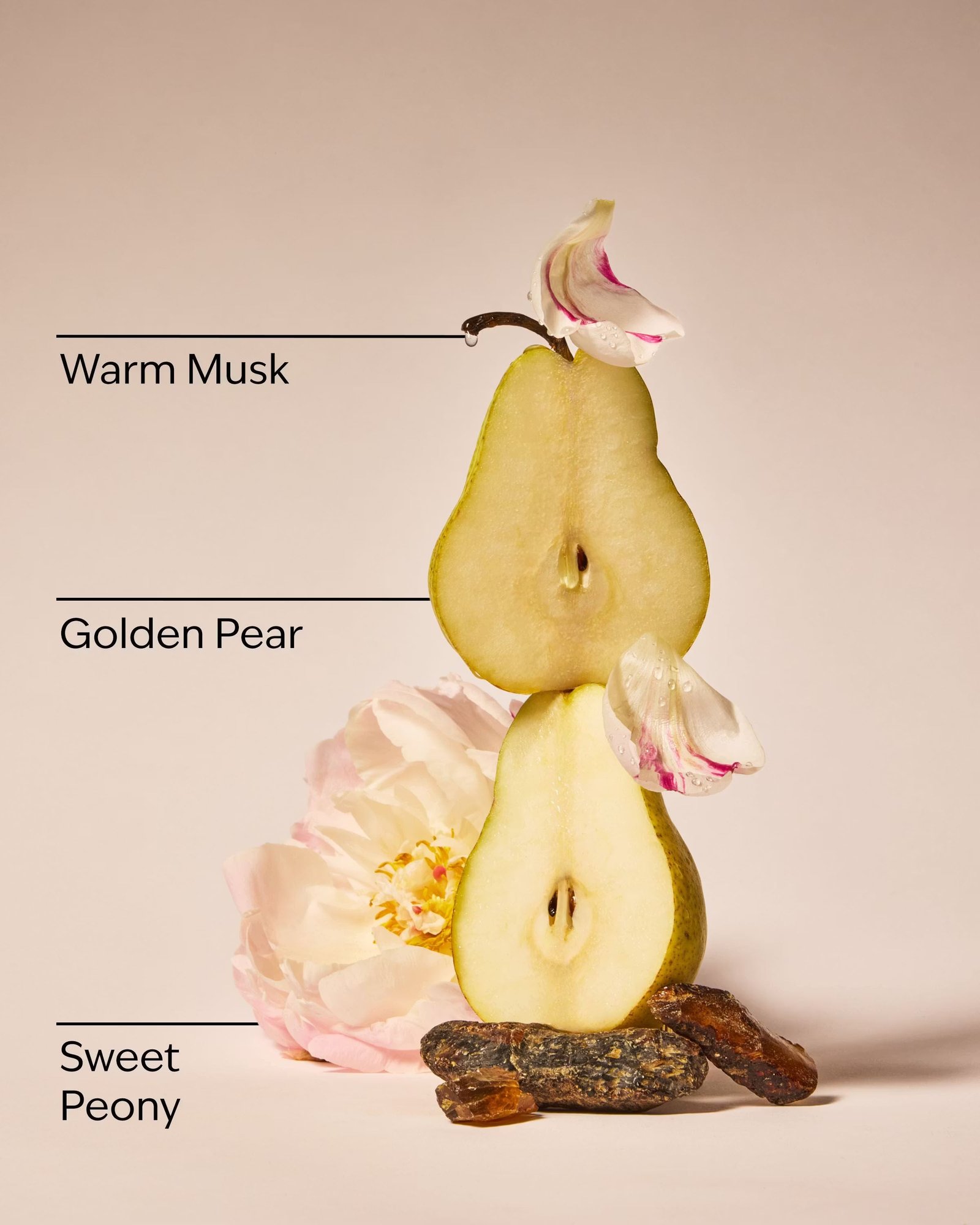 Blush Amber & Peony 3-Wick Candle - Image 2