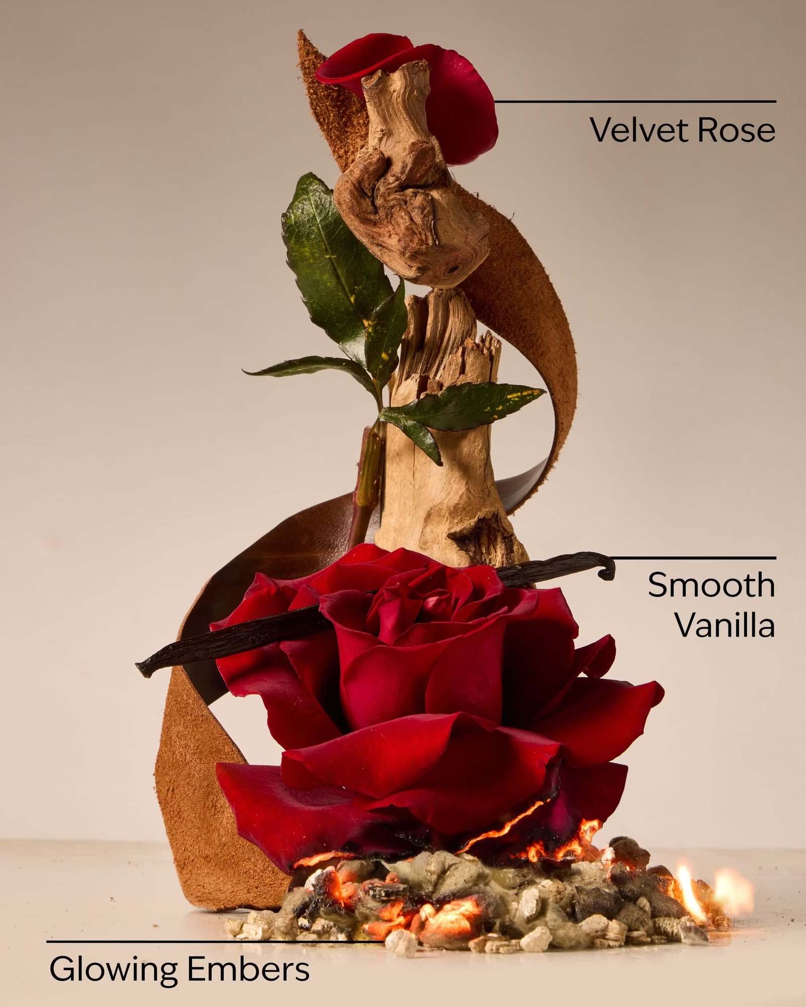 Rosewood & Suede Single Wick Candle - Image 3